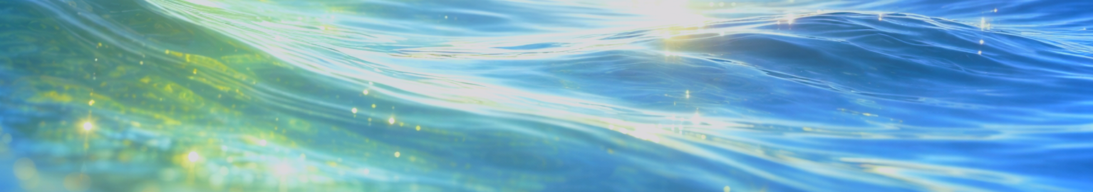 Denis "Woodja" Flanigan, Ph.D.